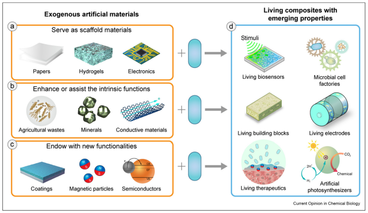 beat365在线体育app
