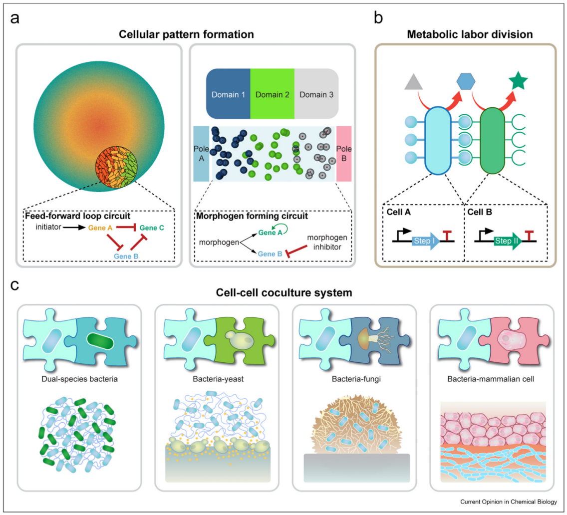 beat365在线体育app