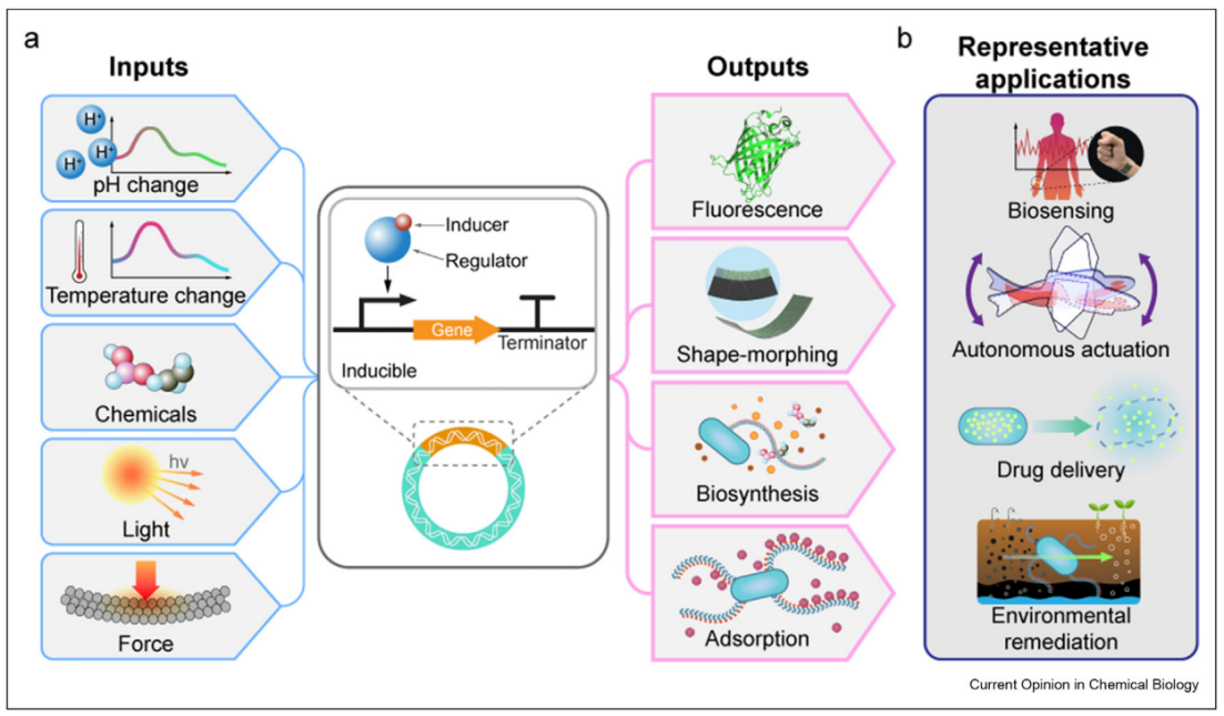 beat365在线体育app