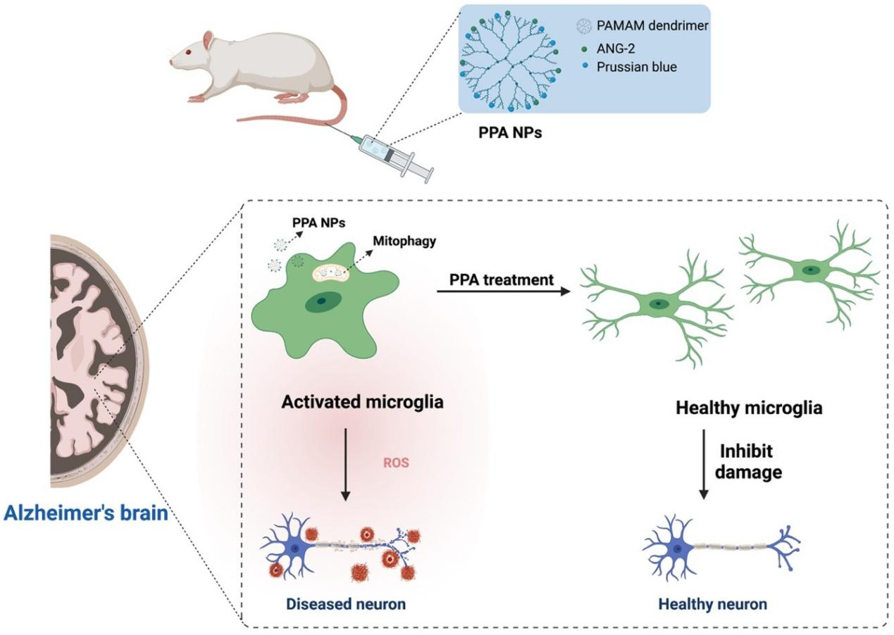 beat365在线体育app