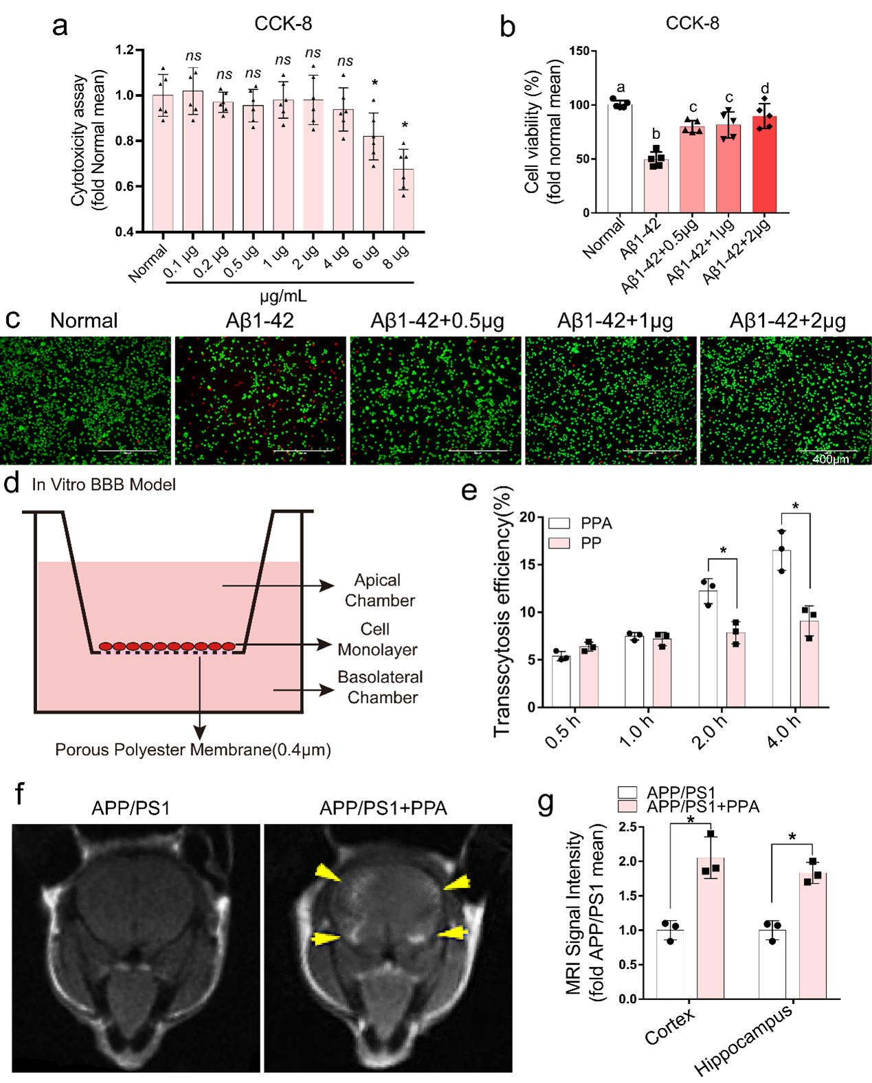 beat365在线体育app