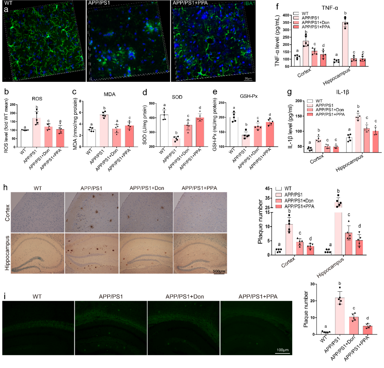 beat365在线体育app