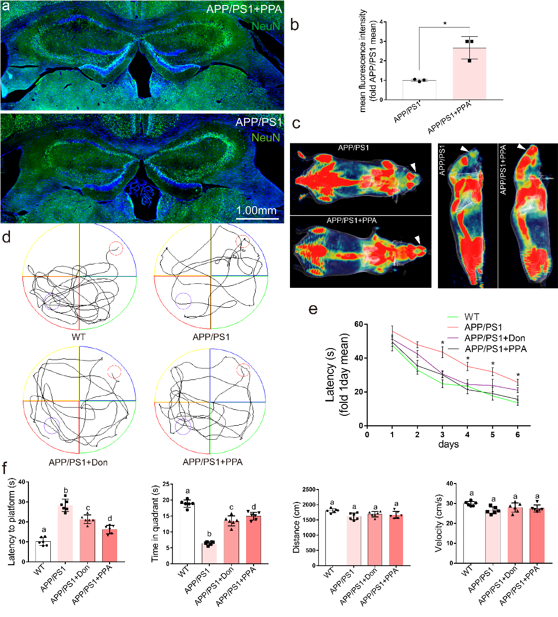 beat365在线体育app
