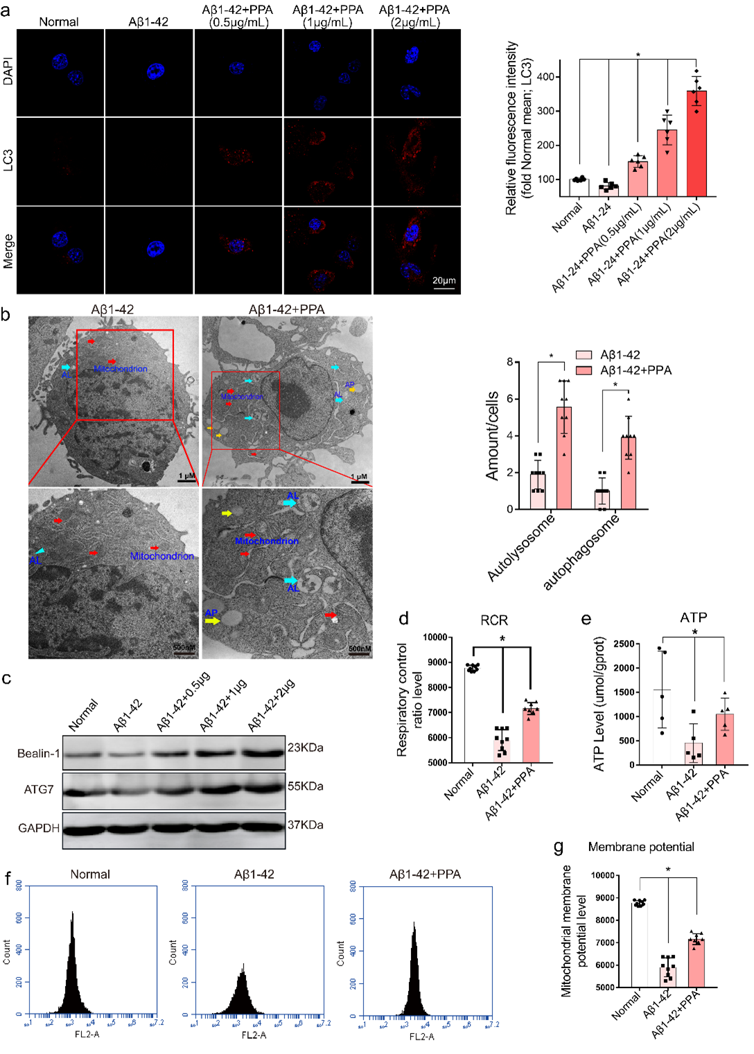 beat365在线体育app