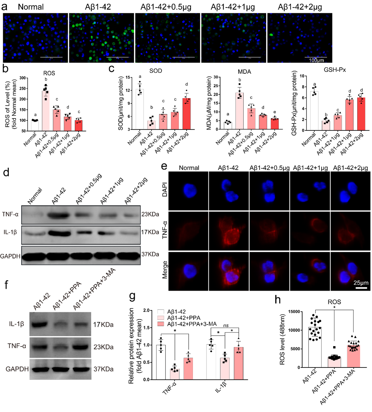 beat365在线体育app