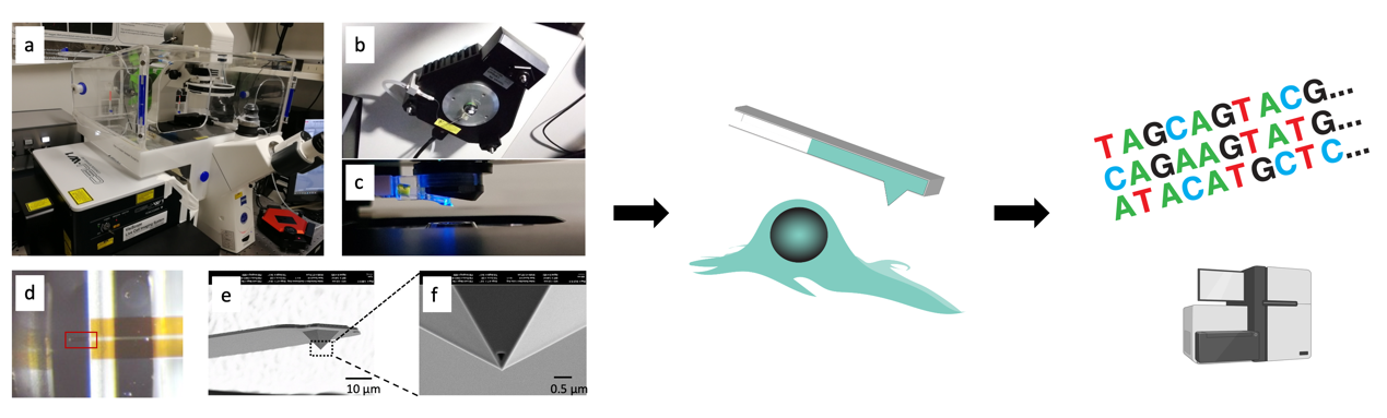 beat365在线体育app