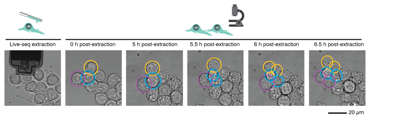 beat365在线体育app