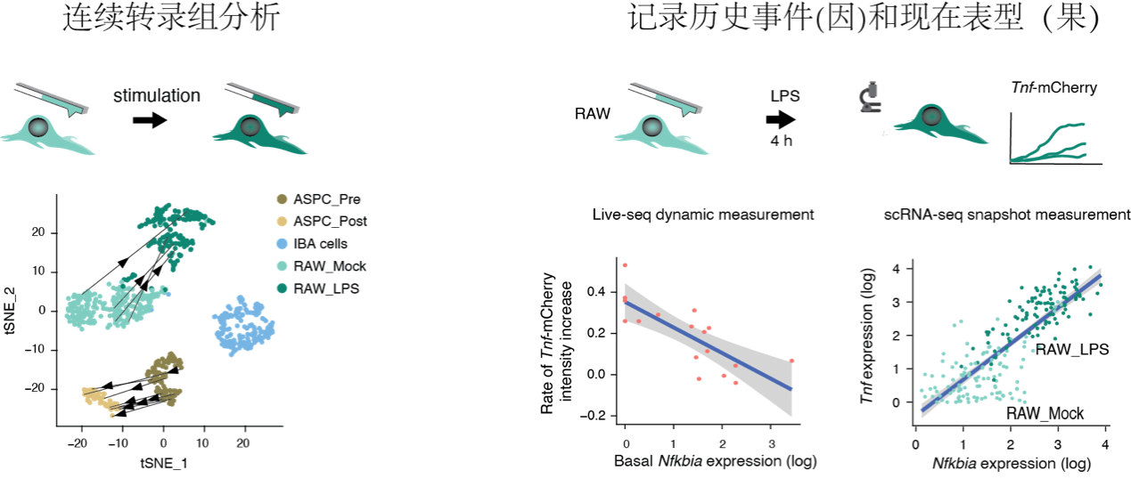 beat365在线体育app