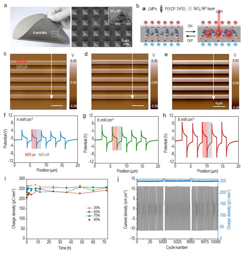 beat365在线体育app
