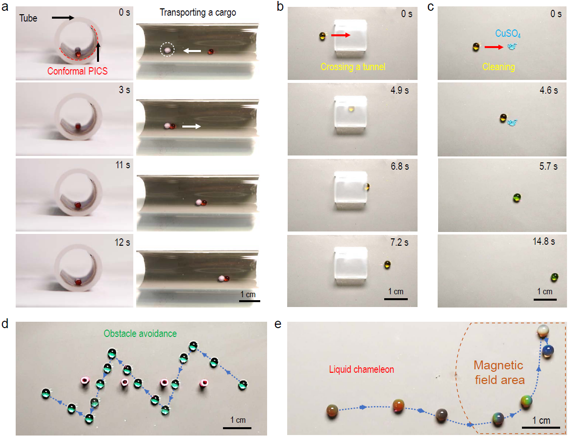beat365在线体育app