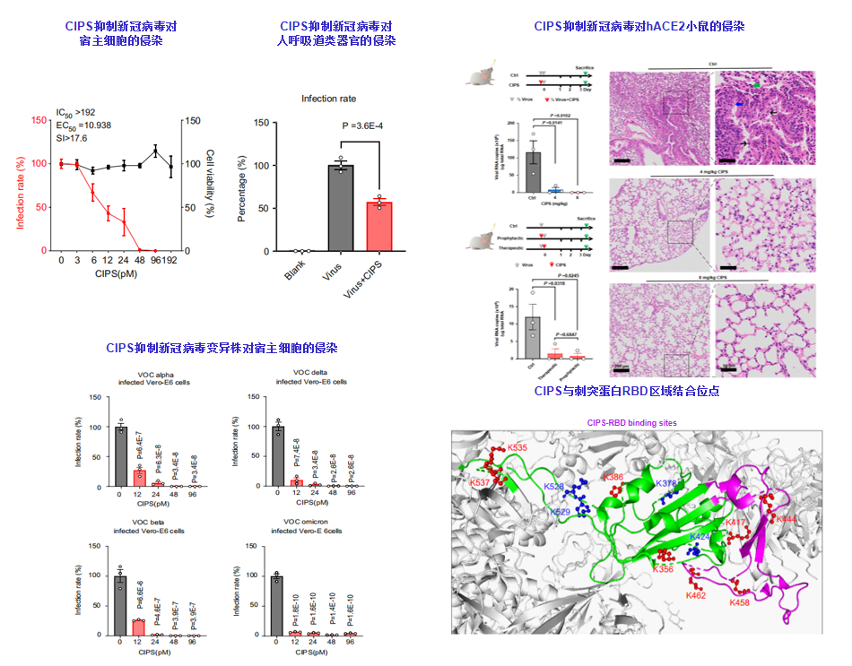 beat365在线体育app