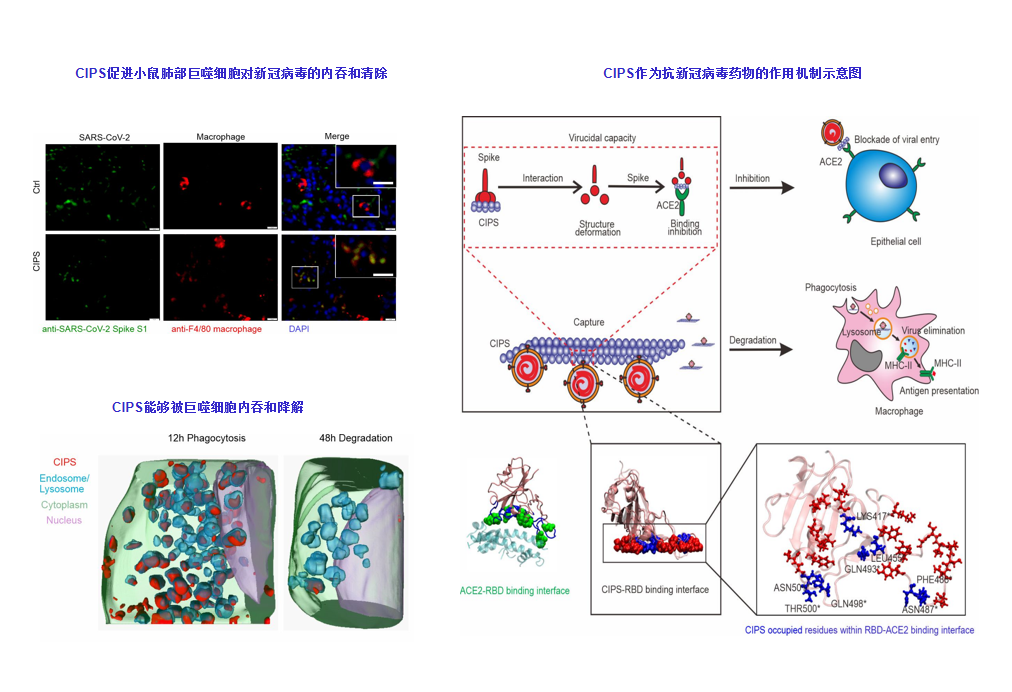 beat365在线体育app