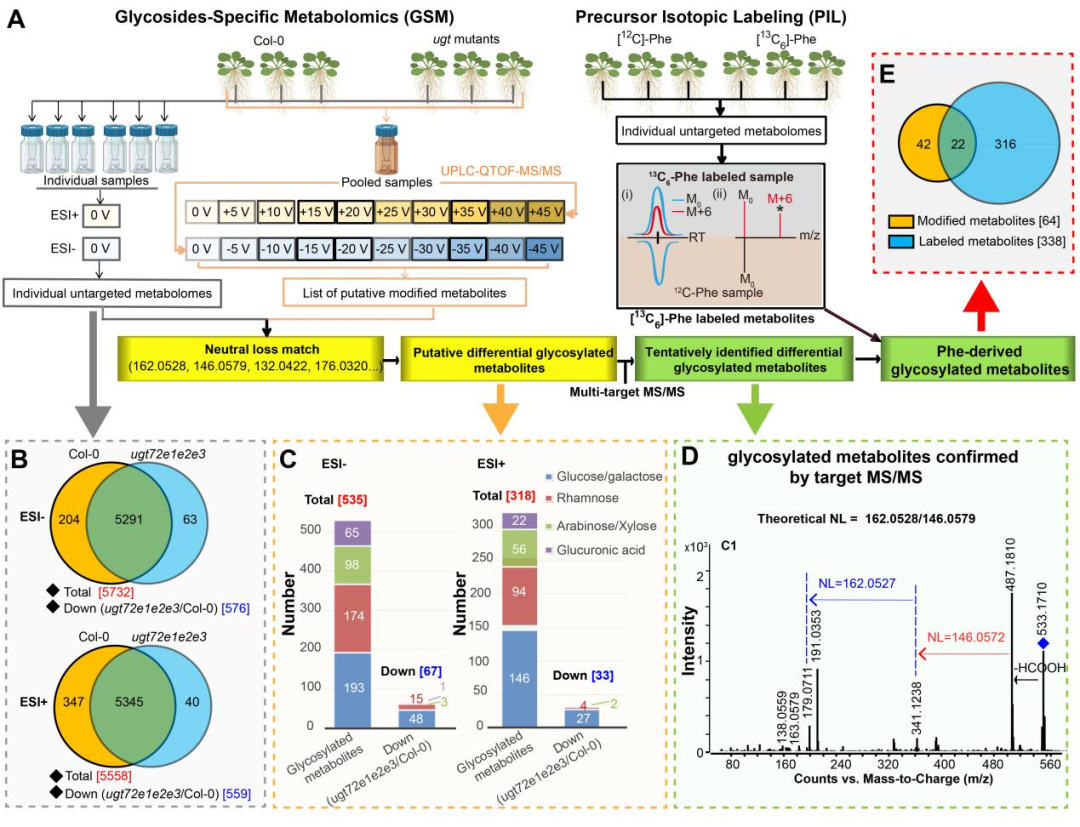 beat365在线体育app