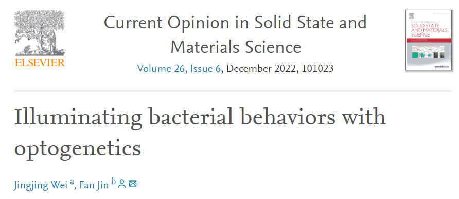 beat365在线体育app