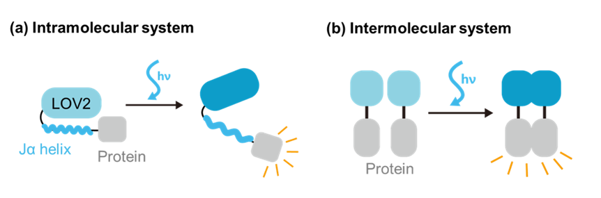 beat365在线体育app