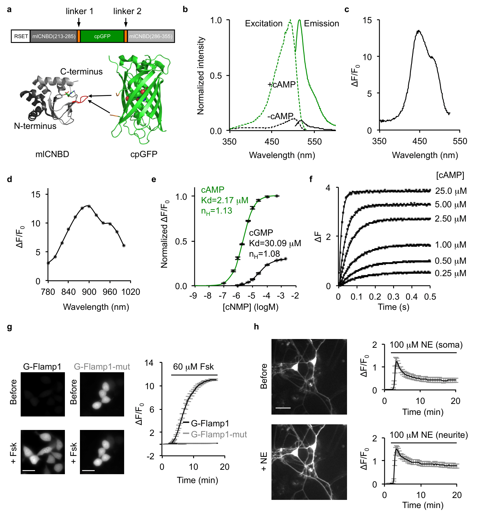 beat365在线体育app