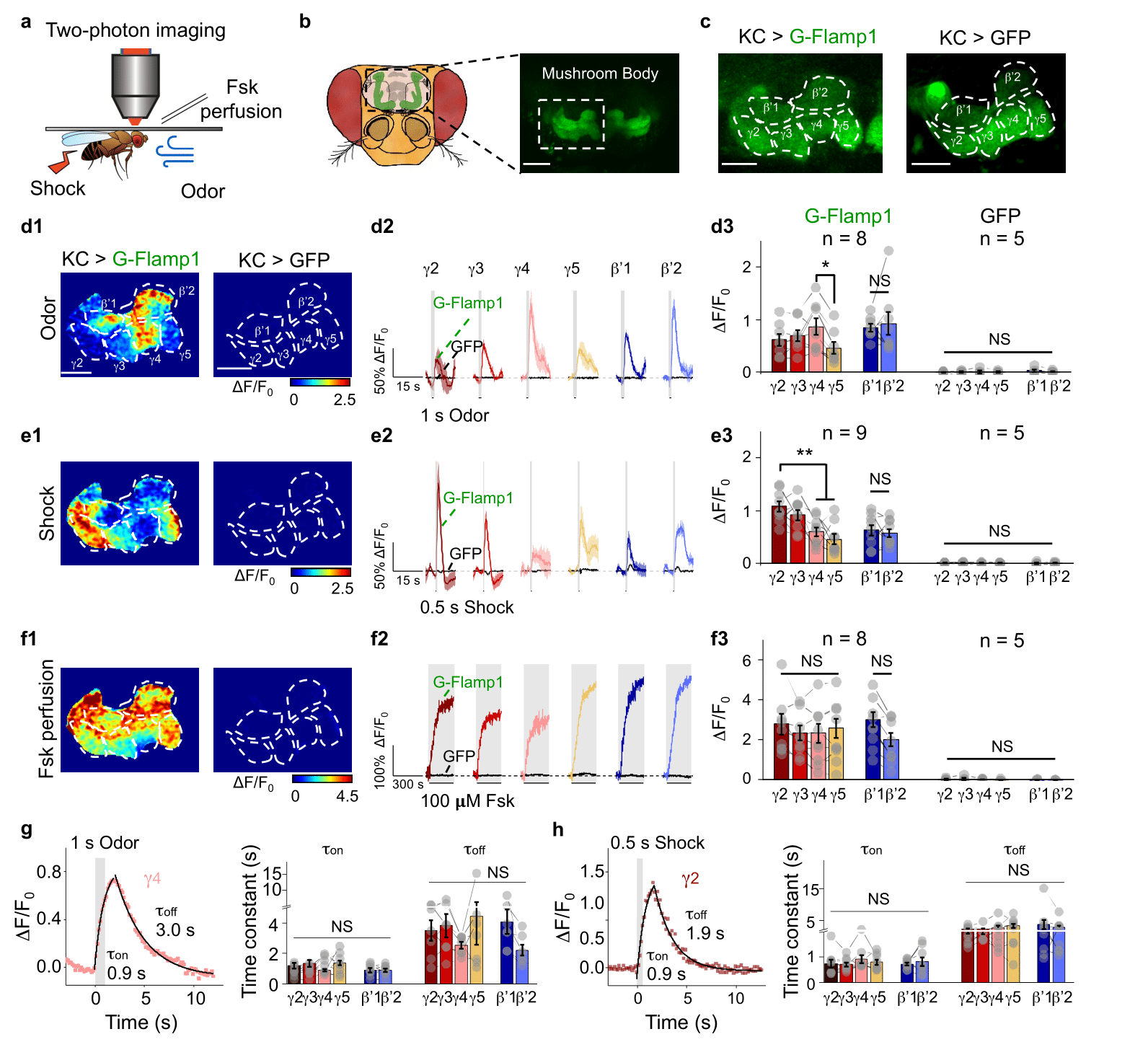 beat365在线体育app