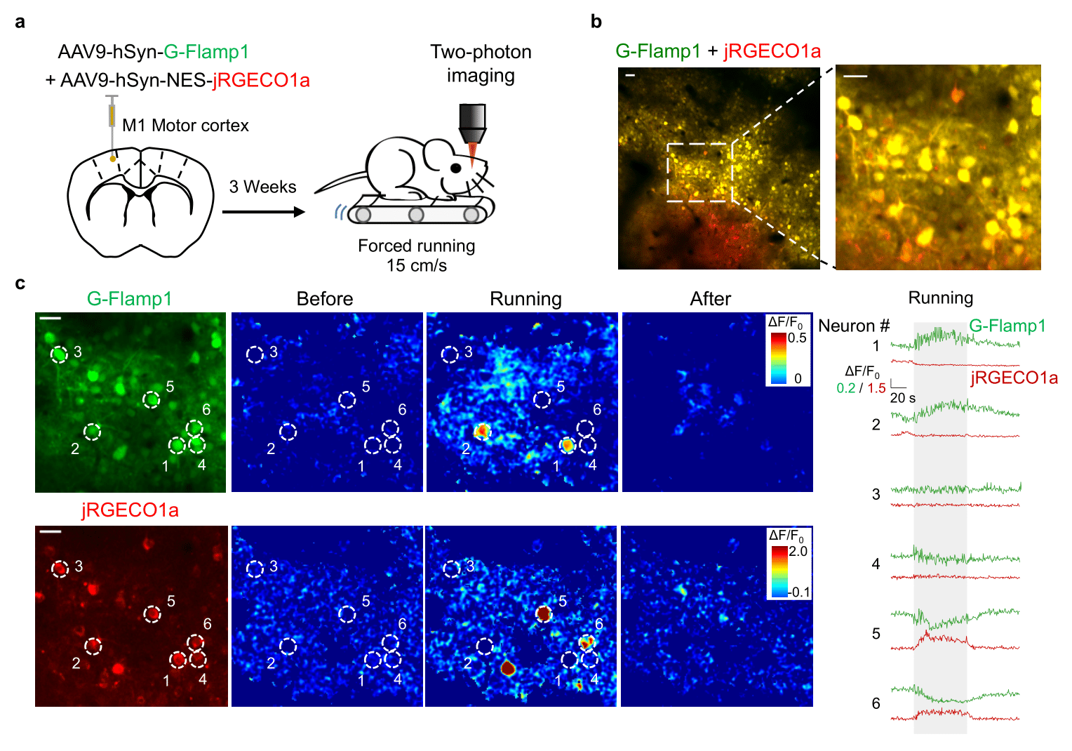 beat365在线体育app