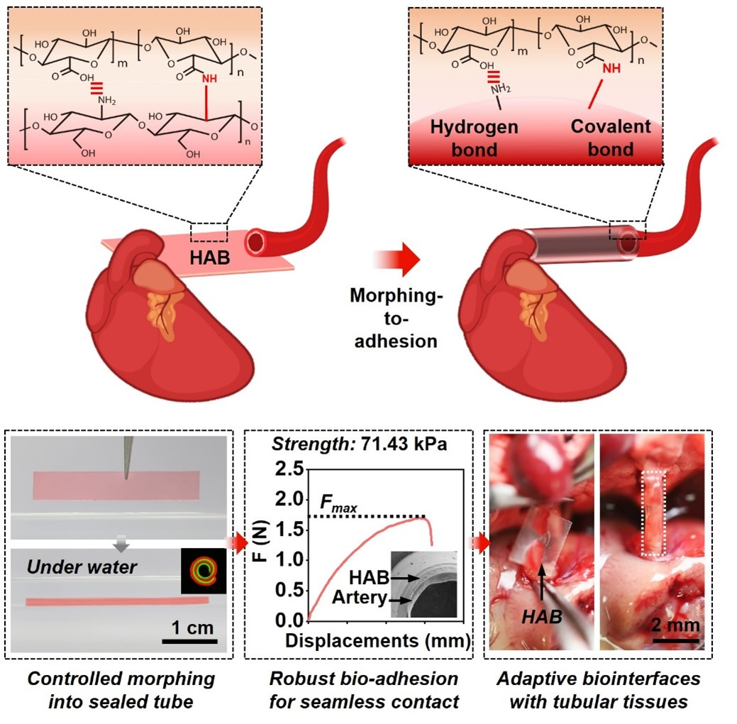 beat365在线体育app