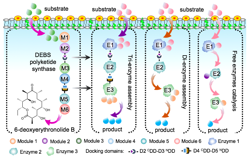 beat365在线体育app