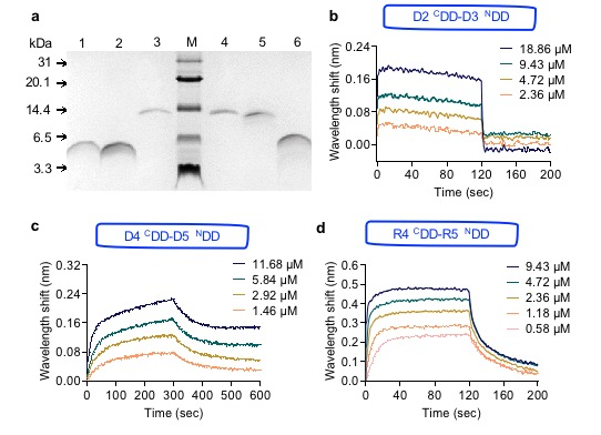 beat365在线体育app