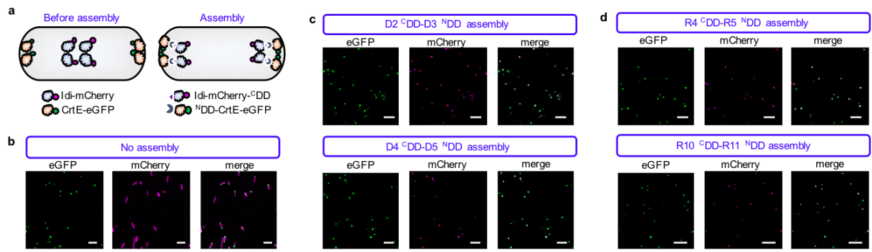 beat365在线体育app