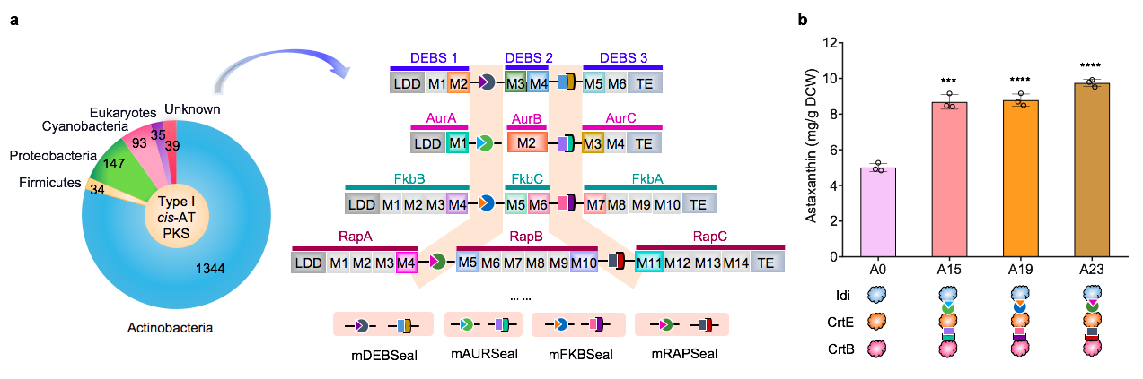 beat365在线体育app
