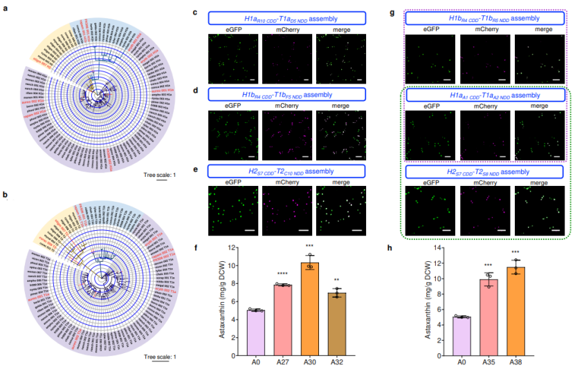 beat365在线体育app