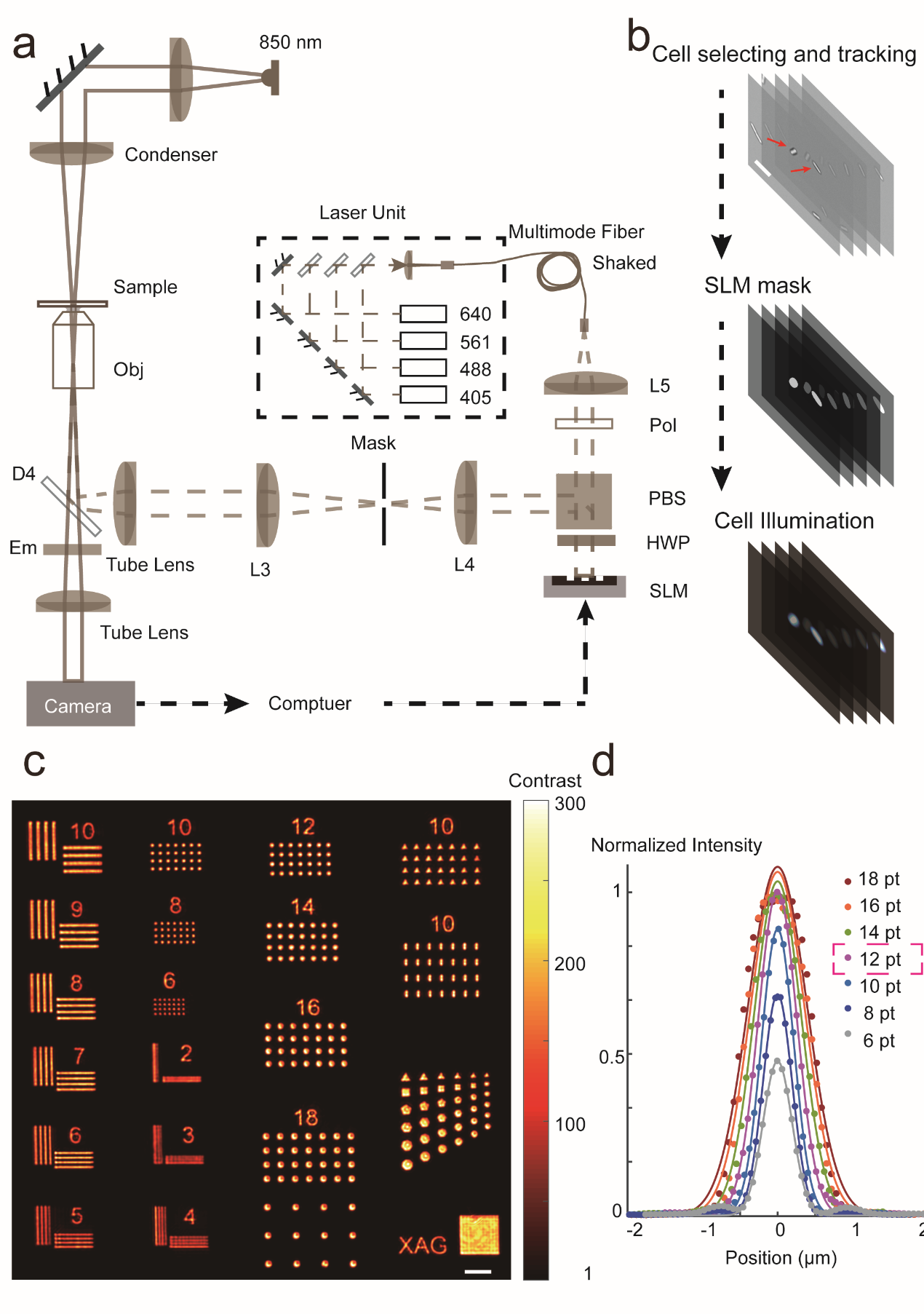 beat365在线体育app