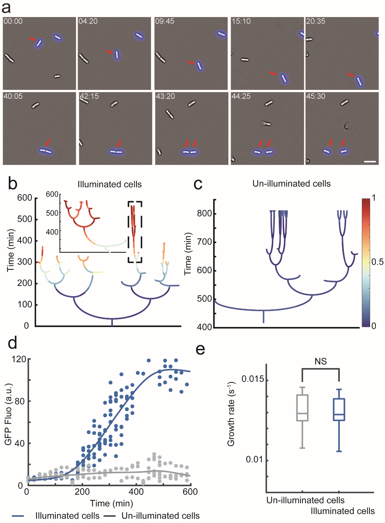 beat365在线体育app