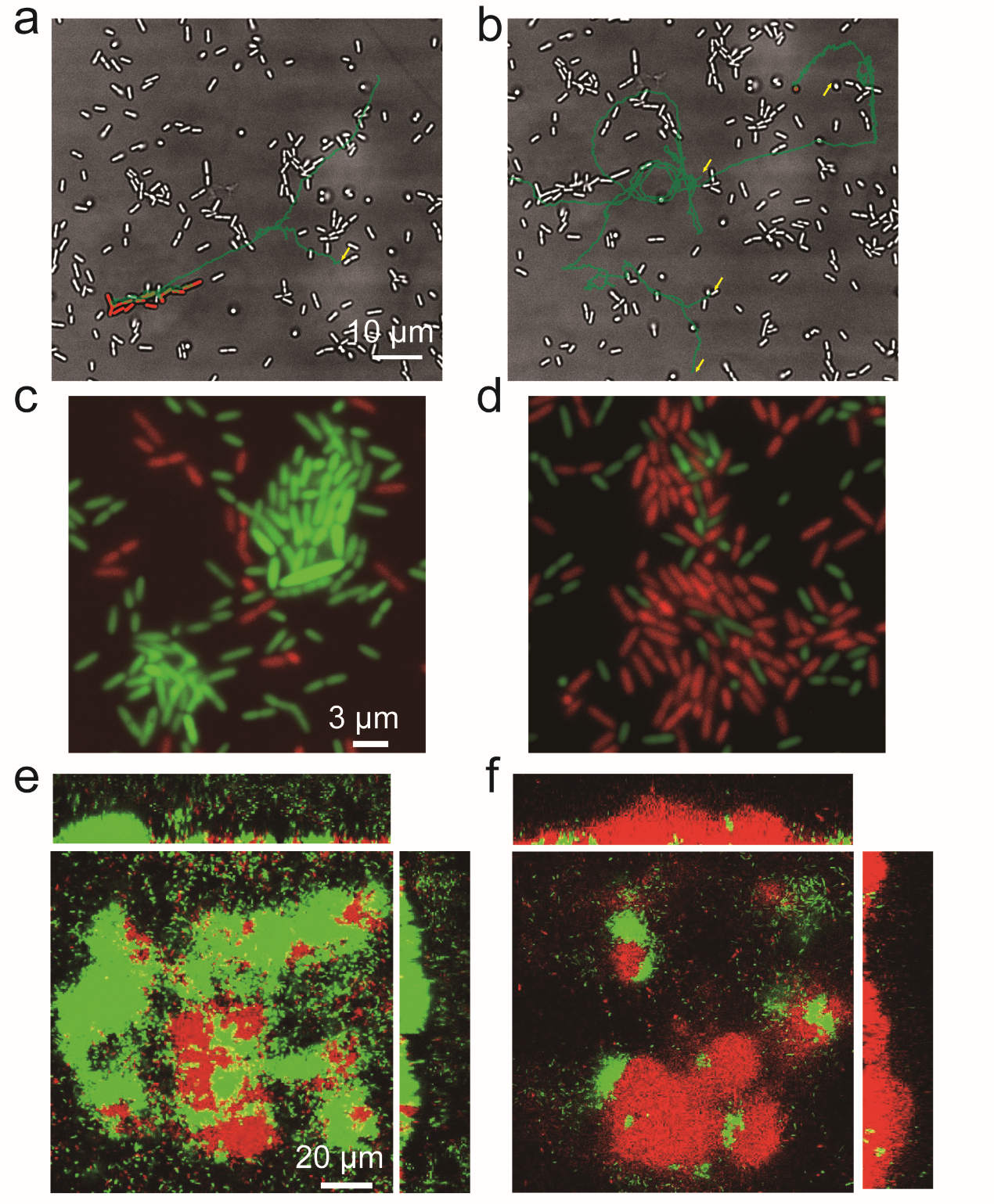 beat365在线体育app