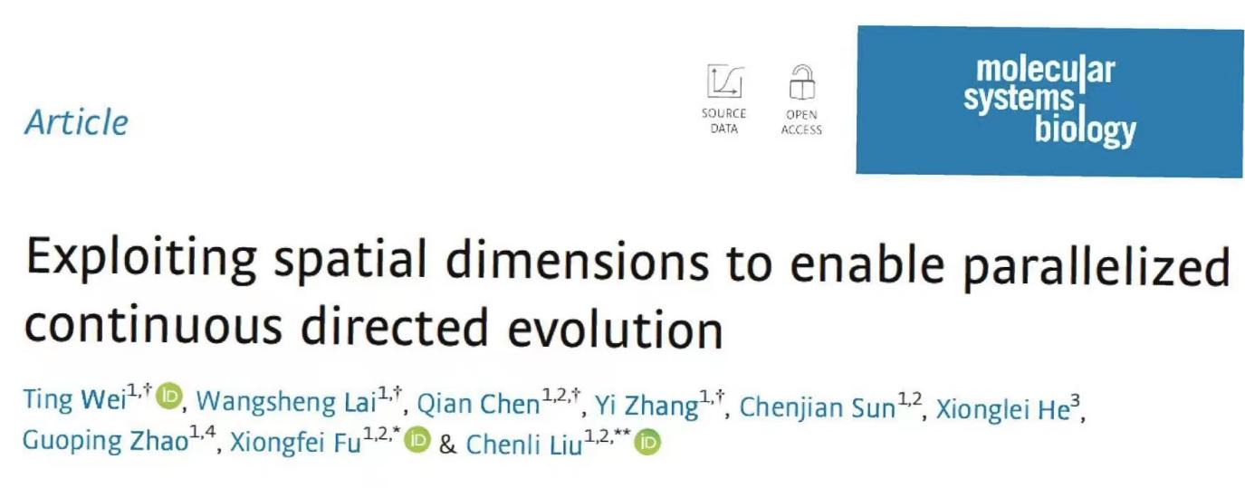 beat365在线体育app