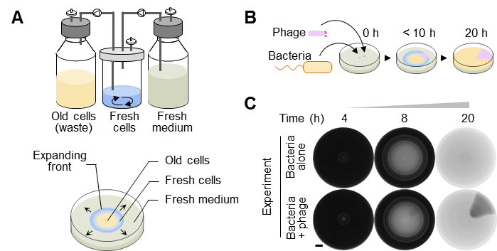 beat365在线体育app