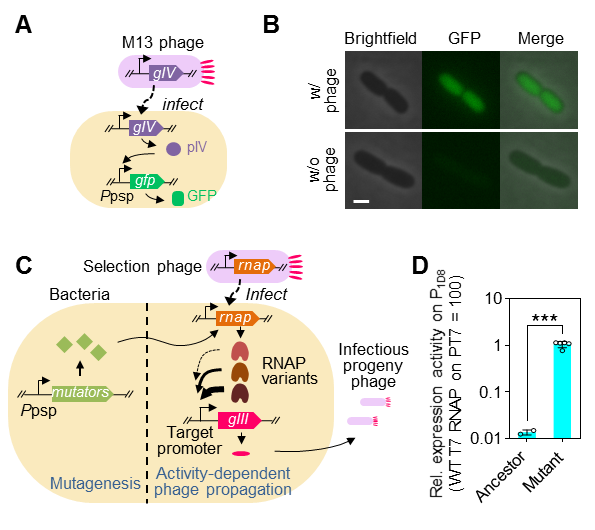 beat365在线体育app