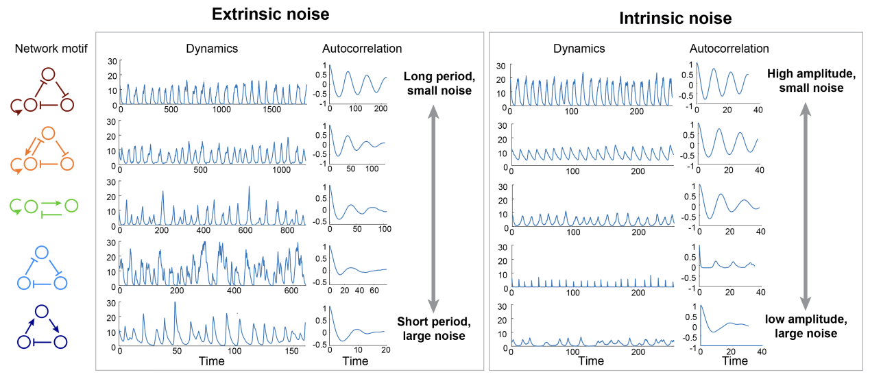 beat365在线体育app