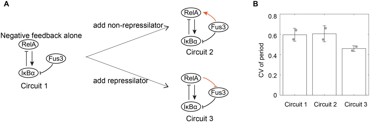 beat365在线体育app