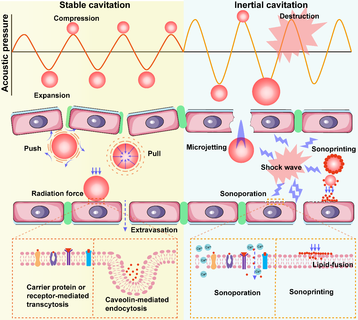 beat365在线体育app