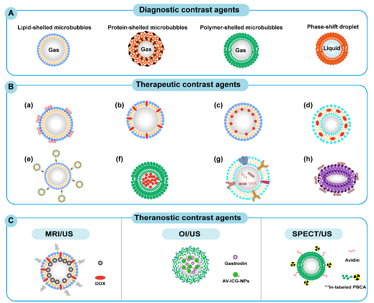 beat365在线体育app