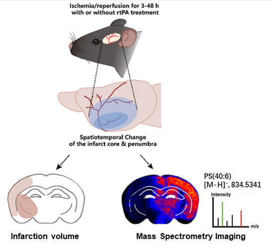 beat365在线体育app