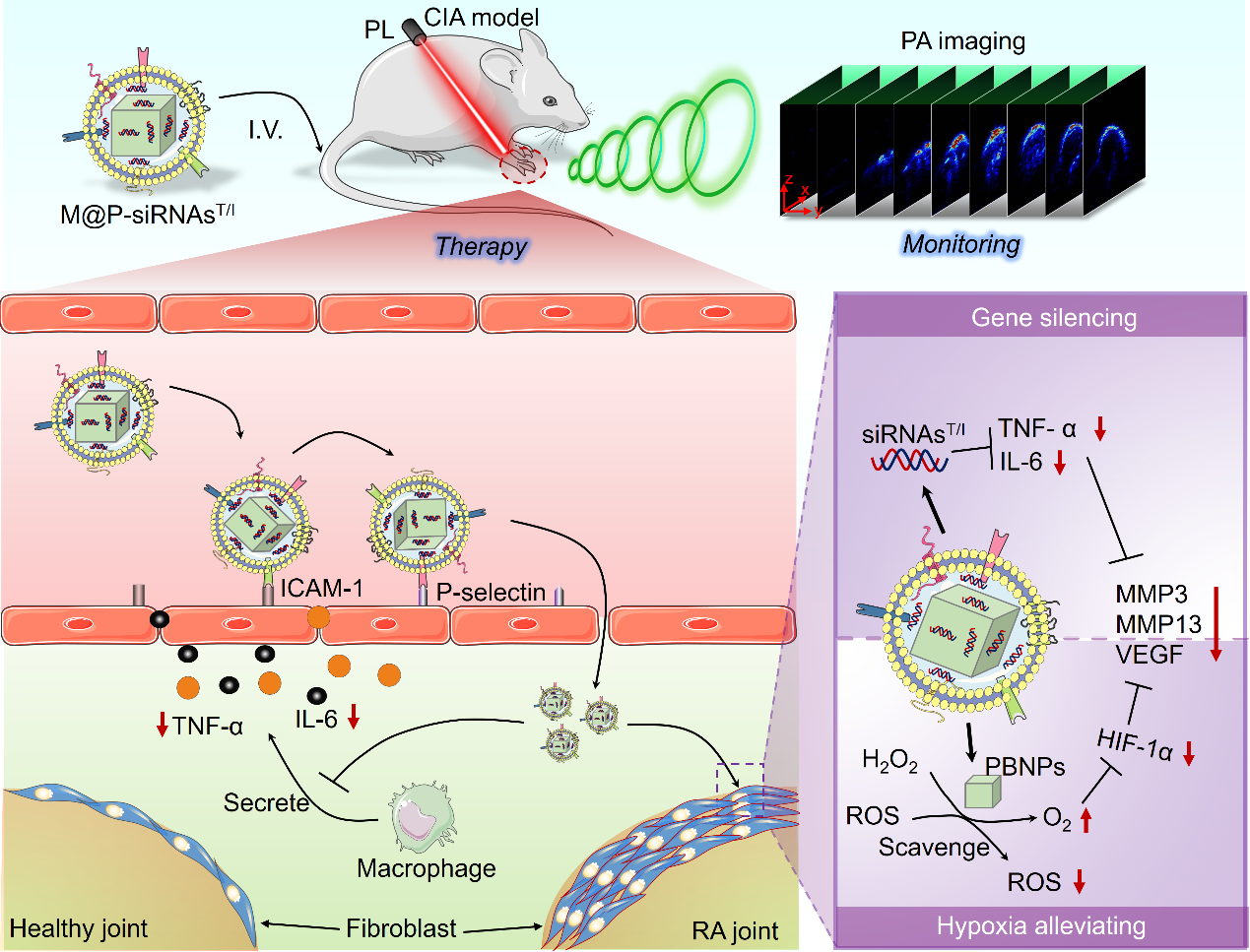 beat365在线体育app