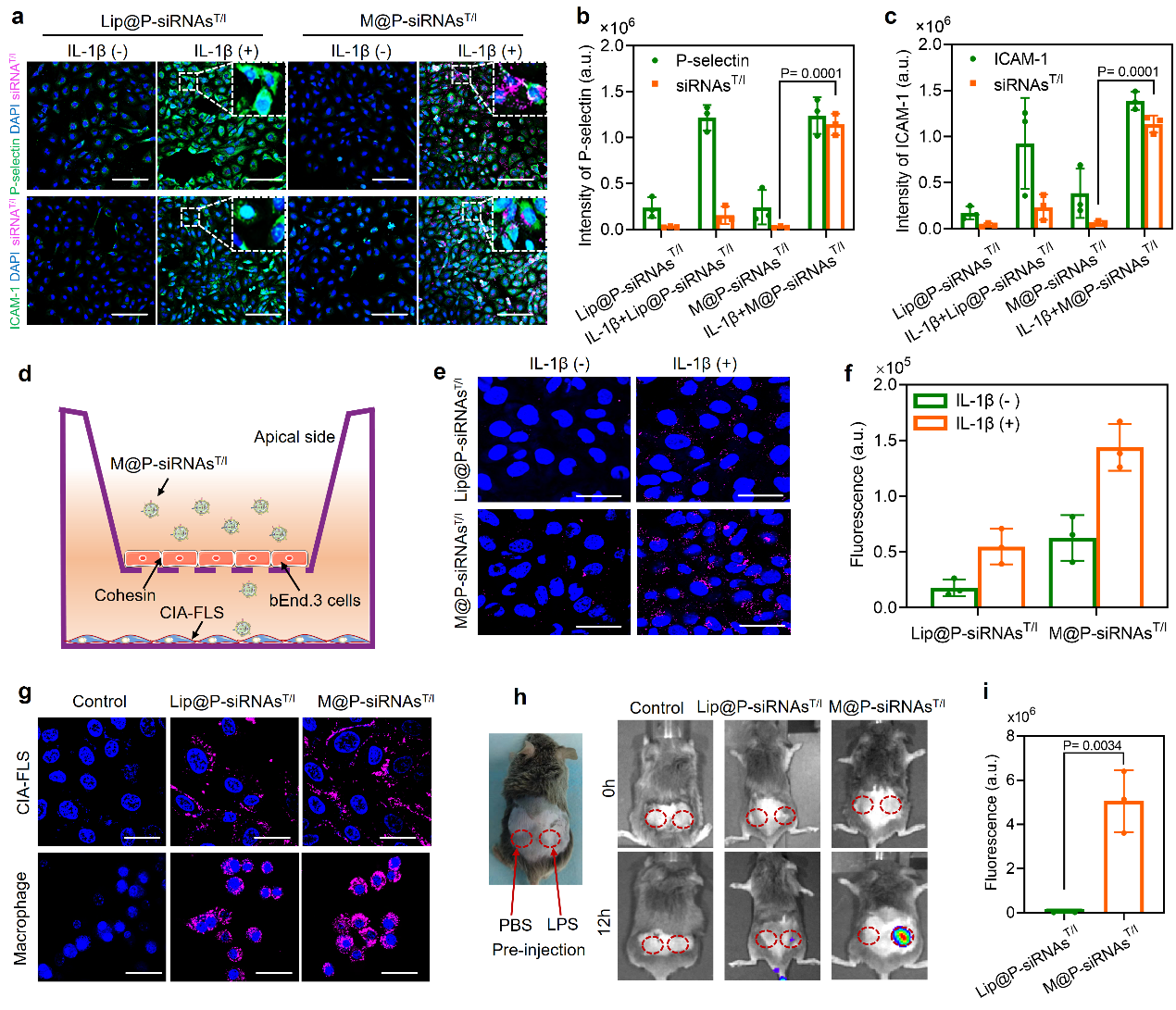 beat365在线体育app