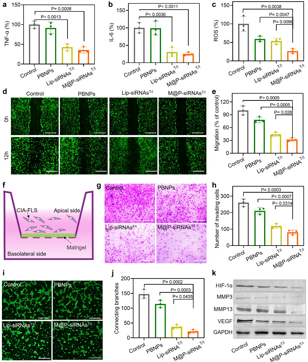 beat365在线体育app