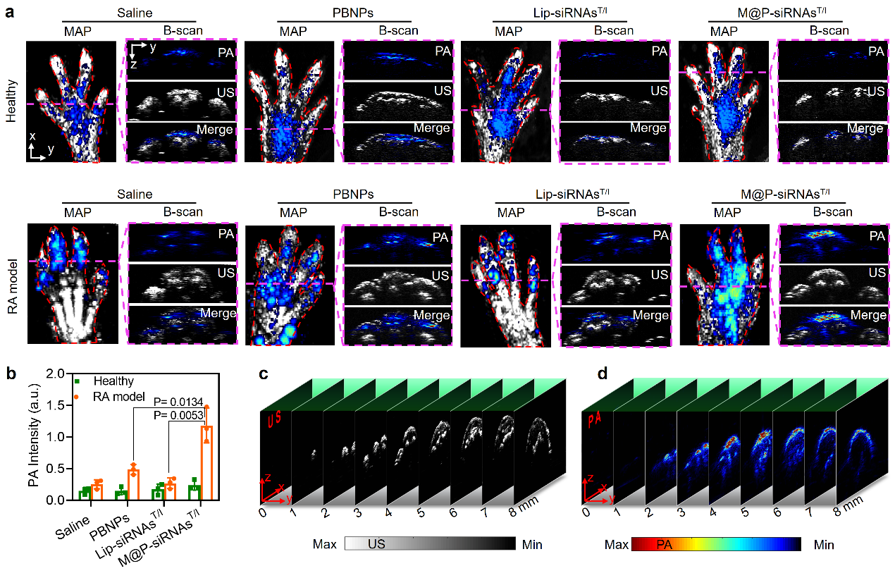 beat365在线体育app