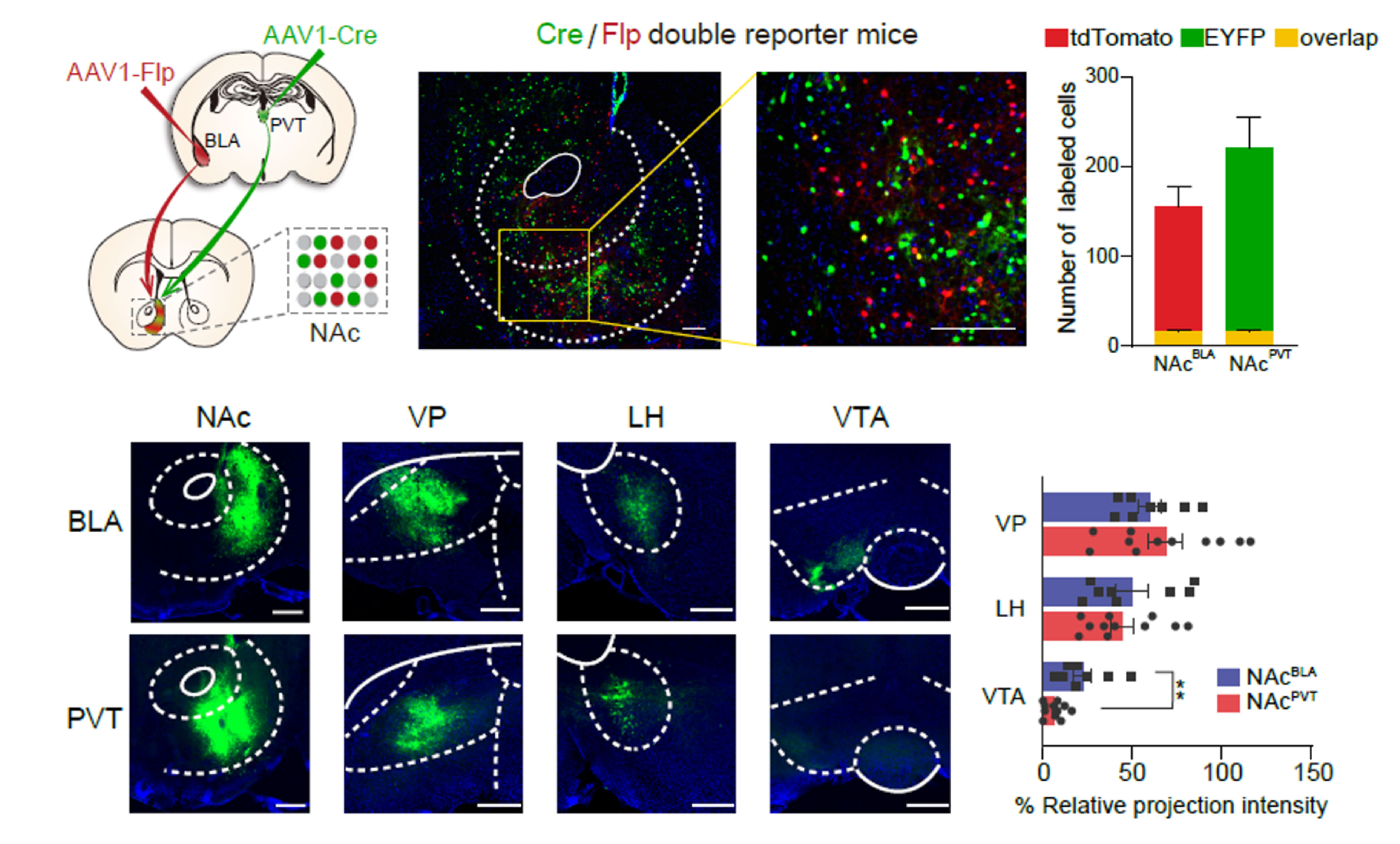 beat365在线体育app