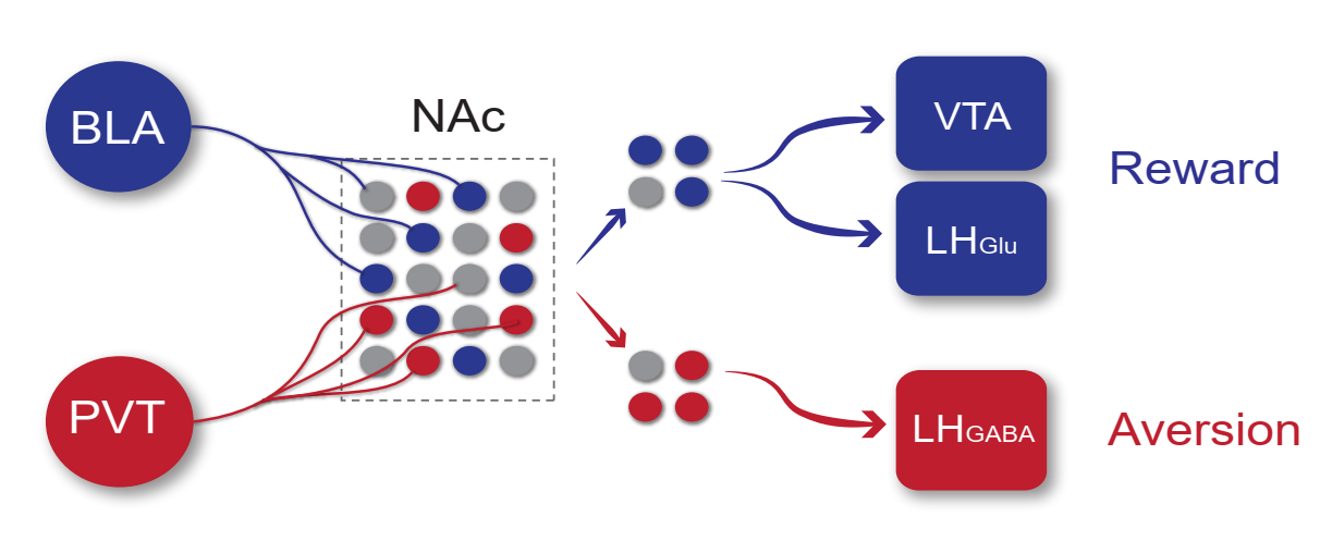 beat365在线体育app