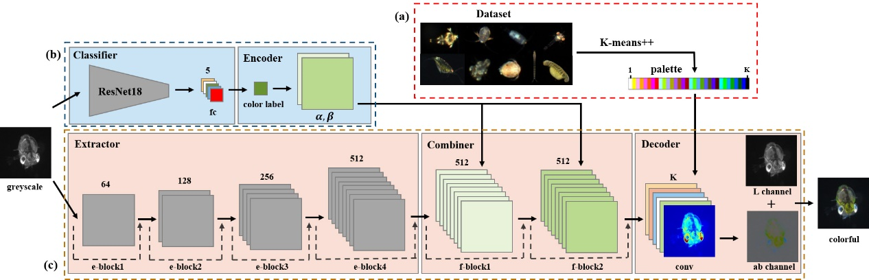 beat365在线体育app