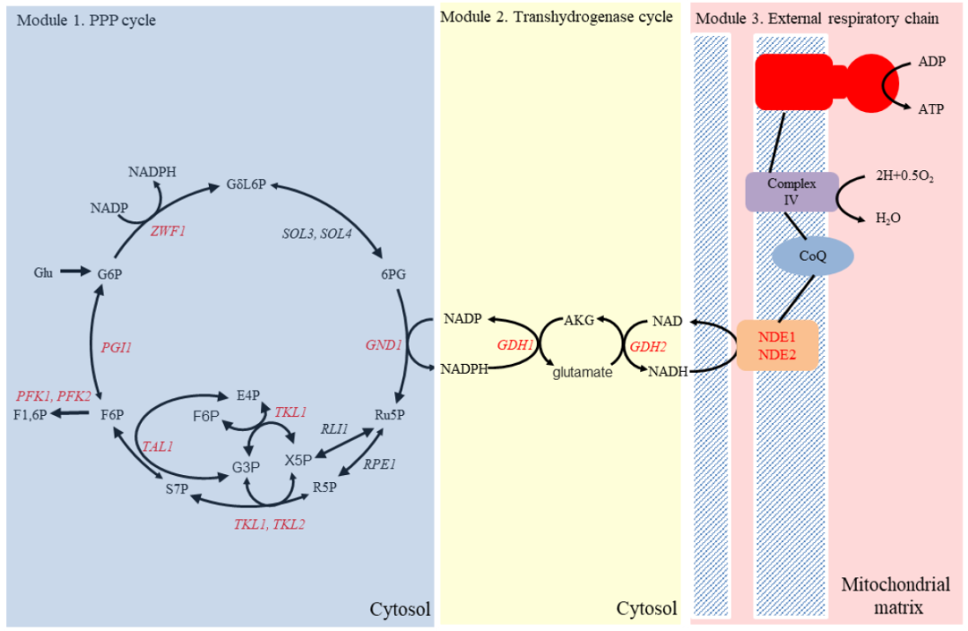 beat365在线体育app