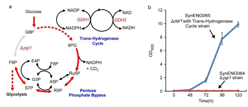 beat365在线体育app