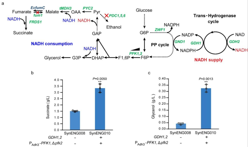 beat365在线体育app