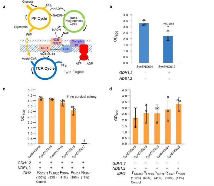 beat365在线体育app